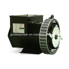 Ce, ISO Approved China Famous Factory 22kw Brushless Alternator (JDG184F)